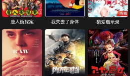 视频破解版,技术揭秘与风险警示