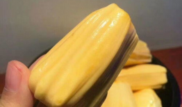 菠萝蜜视频,揭秘生活百态，畅享视觉盛宴