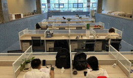 办公室视频,揭秘日常办公场景与团队协作瞬间
