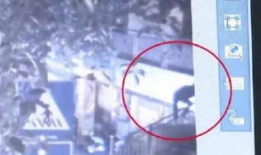上吊视频,悲剧背后的警示与反思