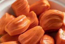 菠萝蜜视频,揭秘生活百态，畅享视觉盛宴