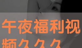 久久夜视频,夜幕下的娱乐盛宴