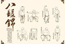 八段锦视频,轻松入门养生功法