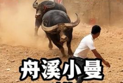 牛牛热在线视频,揭秘热门视频背后的魅力与影响力