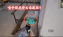 免费搞鸡视频,轻松享受娱乐时光