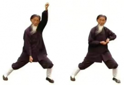 八部金刚功视频,视频教程中的养生秘籍解析