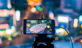 黄片短视频,网络传播的灰色地带