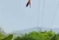 蹦极视频,蹦极惊险瞬间回顾