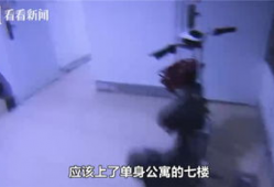 a三级视频,深度解析其内容与影响